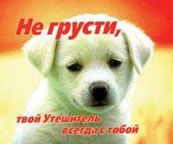 Не переживай я с тобой открытки Не переживай я с тобой открытки