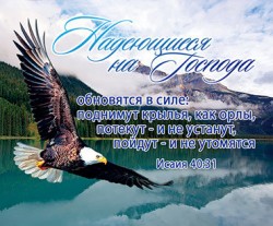 Надеющиеся на Господа обновятся в силе: поднимут крылья, как орлы... Исаия 40:31
