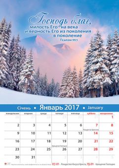 Настенный календарь на 2017 год 