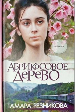 Абрикосовое дерево