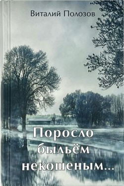 Поросло быльём некошеным... Полозов Виталий