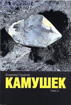 Камушек. Владимир Елушенко