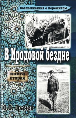 В иродовой бездне. (Книга 2) Юрий Грачев